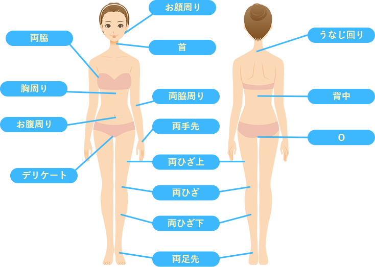 脱毛可能な部位